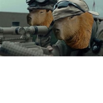 Capybara Military