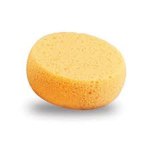 SpongeStudios