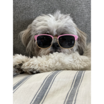 Hazel’s Hang-out