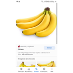 Grupo de platano :3