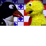 PINGU AND CHICKS