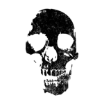Black Skull Squadron
