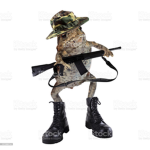 group for only noobs