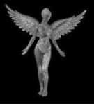 FALLEN ANGELZ V2