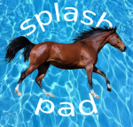 splash pad inc