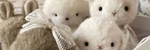 prebunny