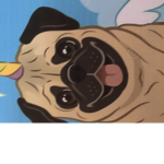Pug r cute