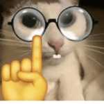 ankwtrzi