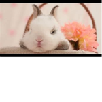 the funny bunny army