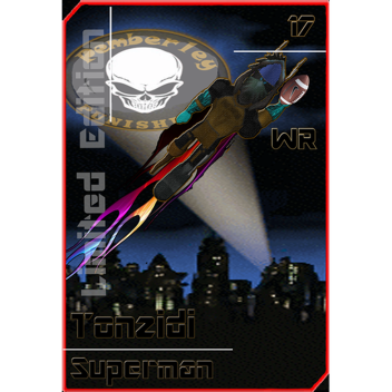 Punisher's Player Card