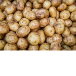 Expert Potato Army