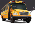 school bus GROUP