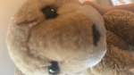 Kuma Gang!