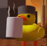 I like ducks so much
