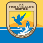 Fish & Wildlife Service