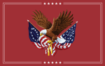 [DYS] American Constitutional Government