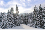 Snowy Pines Lodge