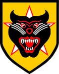 32nd Ranger Battalion, Vietnamese Rangers