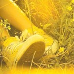 𝐚𝐧𝐝 𝐢𝐭 𝐰𝐚𝐬