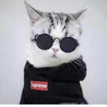 Robux the