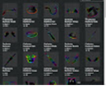 The Rainbow Cartoonies