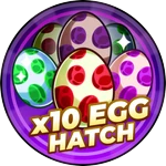 x10 Egg Hatching