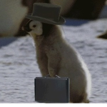 The Official Penguin Clan