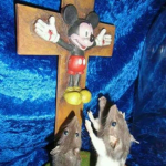 Meme productions studio