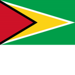 Little Guyana