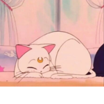 眠そうな部隊