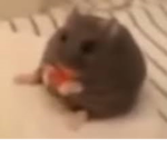 Rat Bin