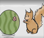 SQUIRREL CHANNEL