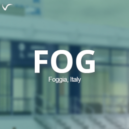 Gino Lisa Airport