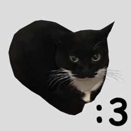 kitty carrying simulator