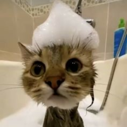 <3