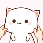 예지랜드