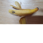 김주 그룹 실친만 오삼