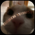 Roach Things