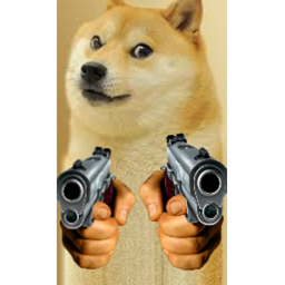 Doge Spider