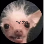 mmoney ddono