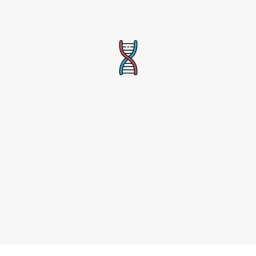 Noice