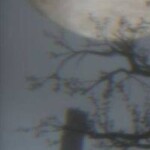 𝙄𝙣𝙫𝙖𝙙𝙚