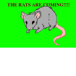 THE RATS ARE COMING. (read description)