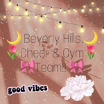 Sadie’s Cheer & Gym Team!!