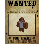 Dhmft dh ect hamster org. RAIDS