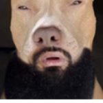 P1LL3D