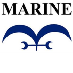The New Era Marines