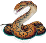 Python Corp.