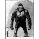 TEAM MONKE OR TEAM KONG