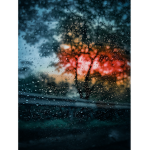 Creatures Moonlight
